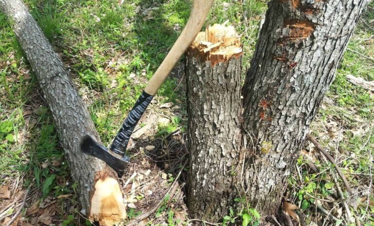 how long does it take to cut down a tree with an axe