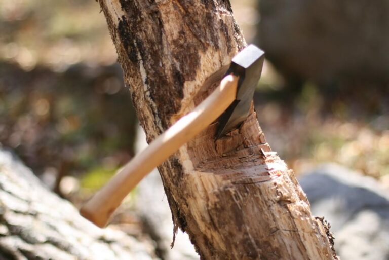 how to cut down a tree with an axe